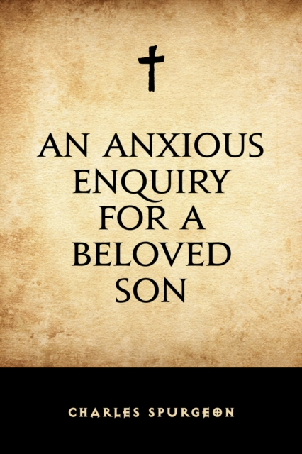 An Anxious Enquiry for a Beloved Son, EPUB eBook