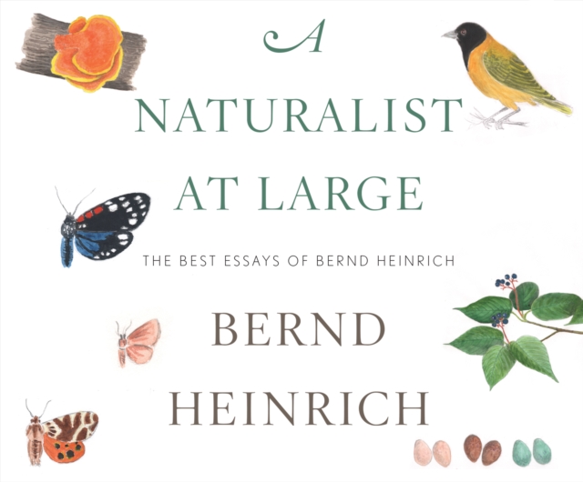 A Naturalist at Large, eAudiobook MP3 eaudioBook