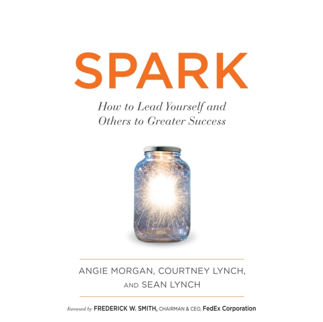 Spark : How to Lead Yourself and Others to Greater Success, eAudiobook MP3 eaudioBook