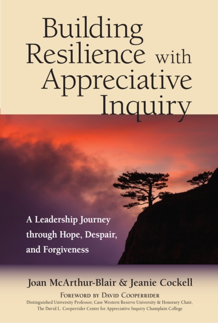Building Resilience with Appreciative Inquiry : A Leadership Journey through Hope, Despair, and Forgiveness, Paperback / softback Book