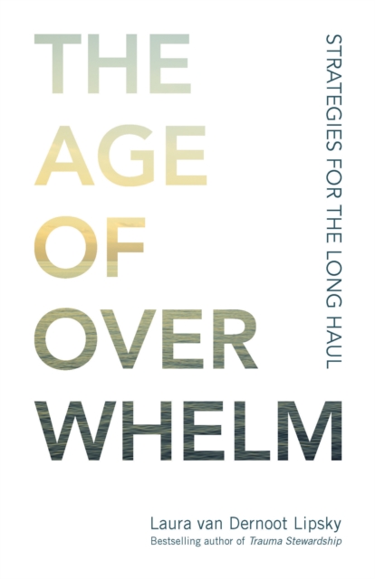 The Age of Overwhelm : Strategies for the Long Haul, EPUB eBook