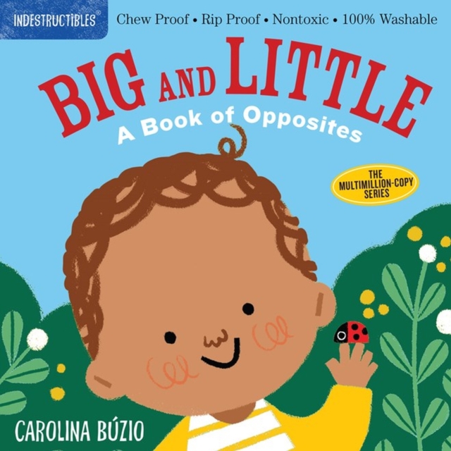 Indestructibles: Big and Little: A Book of Opposites : Chew Proof * Rip Proof * Nontoxic * 100% Washable (Book for Babies, Newborn Books, Safe to Chew), Paperback / softback Book
