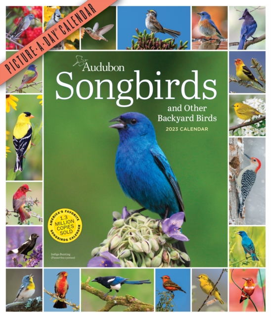 audubon-songbirds-and-other-backyard-birds-picture-a-day-wall-calendar