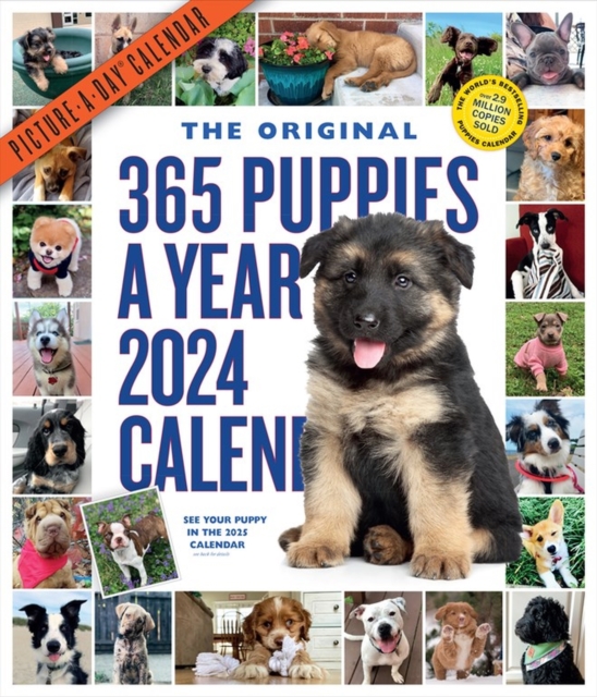 365 Puppies-A-Year Picture-A-Day Wall Calendar 2024 : Absolutely Spilling Over With Puppies, Calendar Book