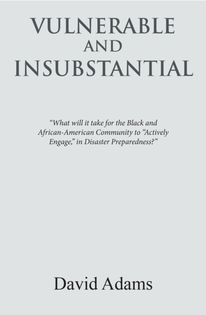 Vulnerable and Insubstantial : What Will It Take?, EPUB eBook