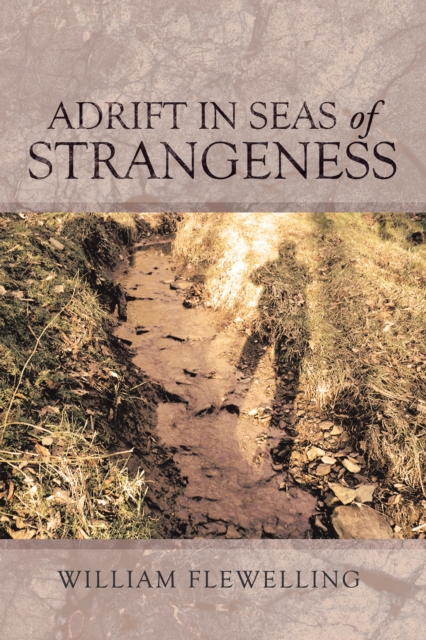 Adrift in Seas of Strangeness, EPUB eBook