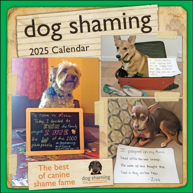 Dog Shaming 2025 Wall Calendar, Calendar Book