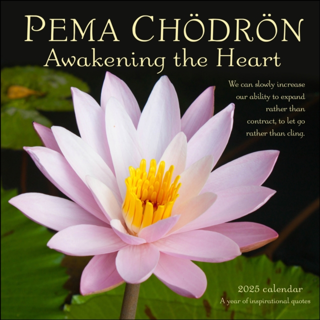 Pema Chodron 2025 Wall Calendar : Awakening the Heart—A Year of Inspirational Quotes, Calendar Book