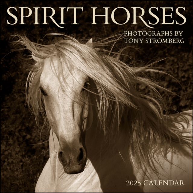 Spirit Horses 2025 Wall Calendar by Tony Stromberg, Calendar Book