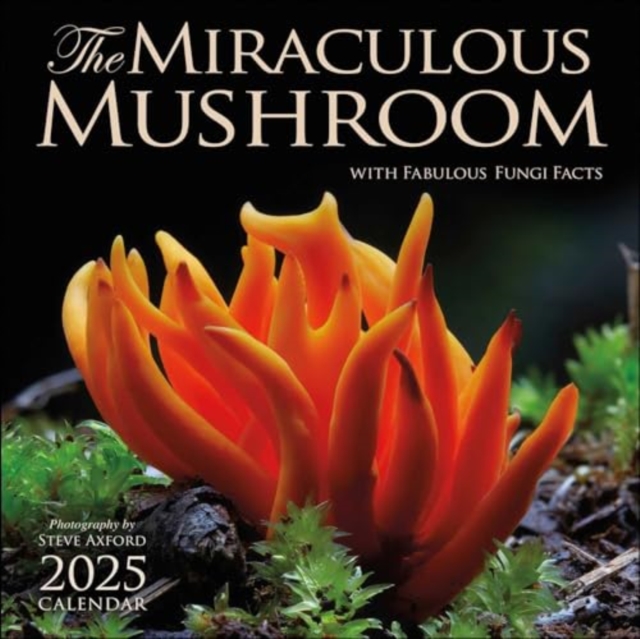 The Miraculous Mushroom 2025 Wall Calendar : With Fabulous Fungi Facts, Calendar Book