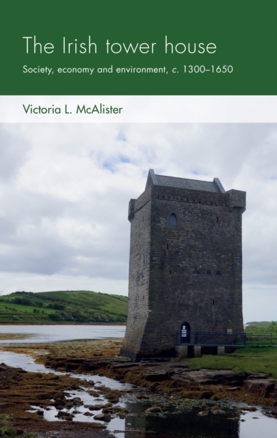 The Irish Tower House : Society, Economy and Environment, c. 1300–1650, EPUB eBook