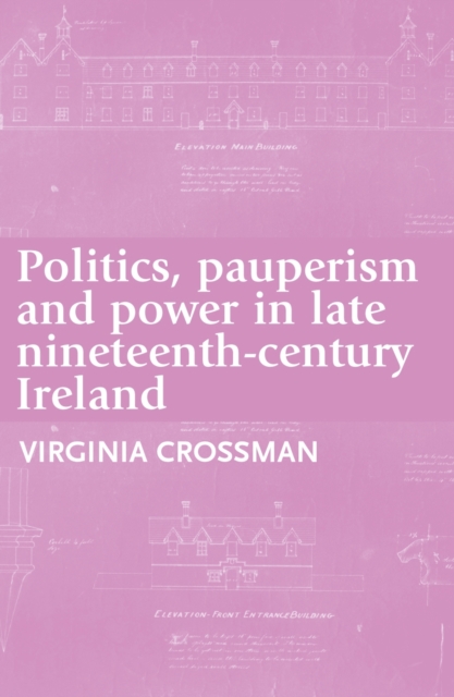 Politics, pauperism and power in late nineteenth-century Ireland, PDF eBook