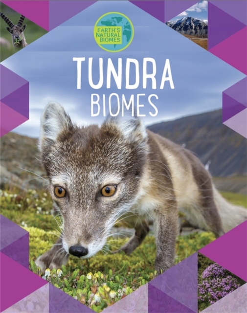 Earth's Natural Biomes: Tundra, Paperback / softback Book