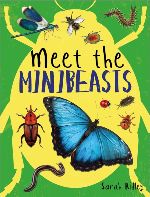 Meet the Minibeasts, Hardback Book