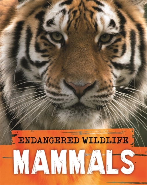 Endangered Wildlife: Rescuing Mammals, Paperback / softback Book