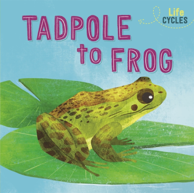 Life Cycles: From Tadpole to Frog, Hardback Book