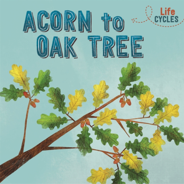 Life Cycles: Acorn to Oak Tree, Paperback / softback Book
