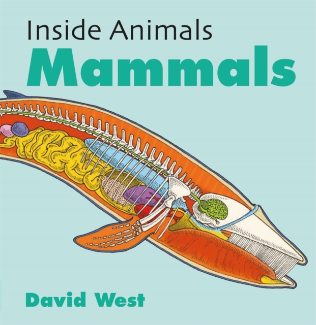 Inside Animals: Mammals, Hardback Book