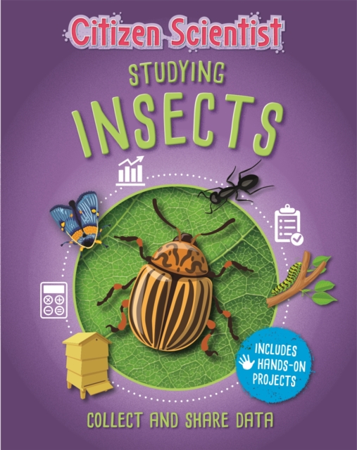 Citizen Scientist: Studying Insects, Paperback / softback Book