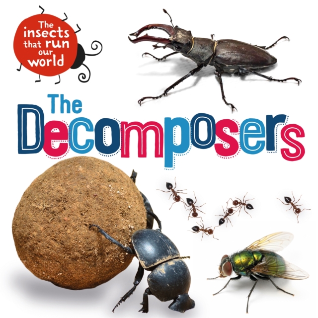 The Insects that Run Our World: The Decomposers, Hardback Book