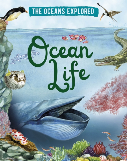 The Oceans Explored: Ocean Life, Paperback / softback Book