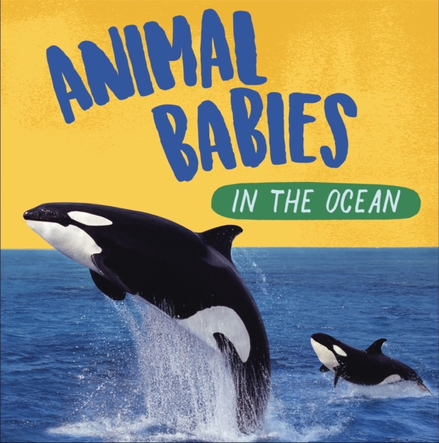 Animal Babies: In the Ocean, Hardback Book