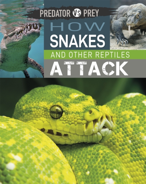 Predator vs Prey: How Snakes and other Reptiles Attack, Hardback Book
