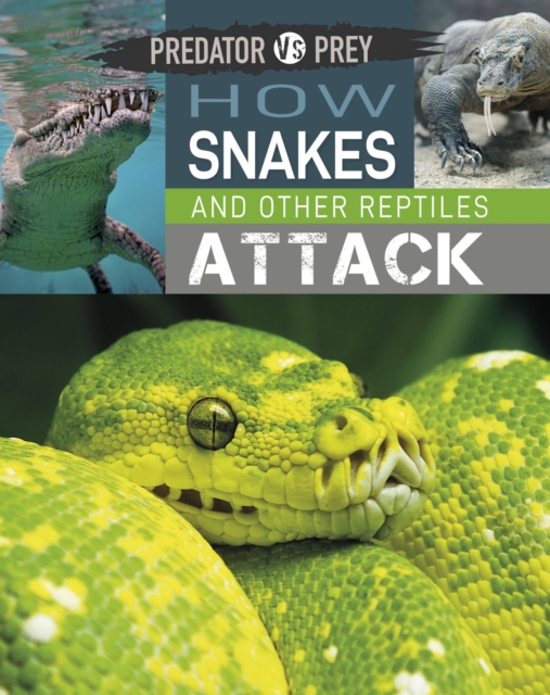 Predator vs Prey: How Snakes and other Reptiles Attack, Paperback / softback Book
