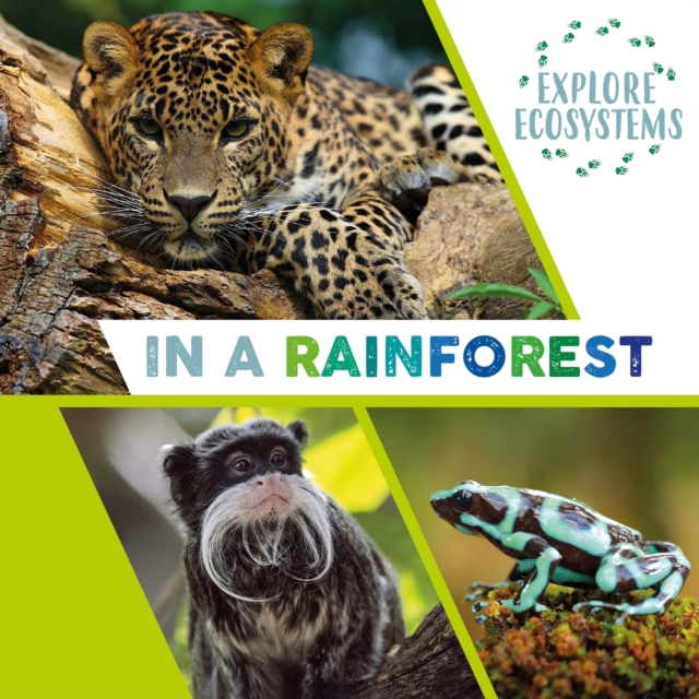 Explore Ecosystems: In a Rainforest, Hardback Book