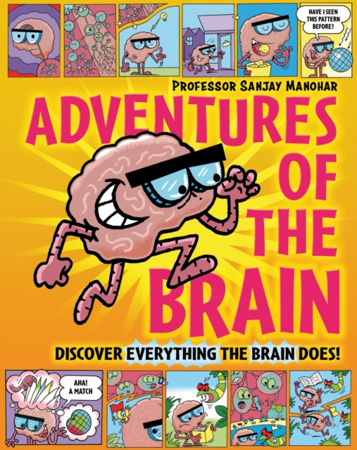 Adventures of the Brain : What the brain does and how it works, EPUB eBook