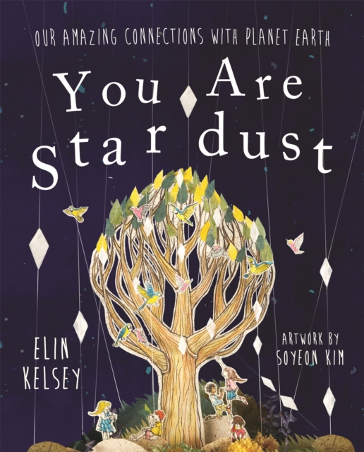 You are Stardust : Our Amazing Connections With Planet Earth, Paperback / softback Book