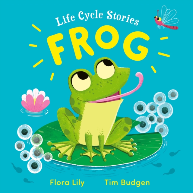Life Cycle Stories: Frog, Hardback Book