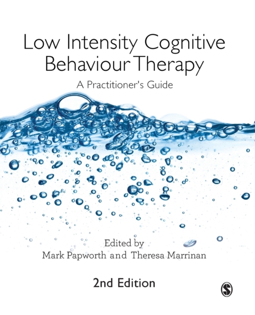 Low Intensity Cognitive Behaviour Therapy : A Practitioner's Guide, Paperback / softback Book