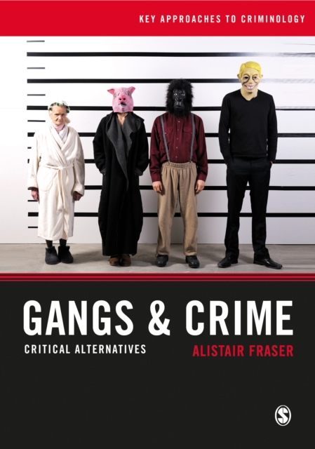 Gangs & Crime : Critical Alternatives, EPUB eBook