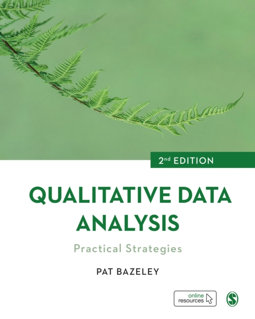 Qualitative Data Analysis : Practical Strategies, EPUB eBook