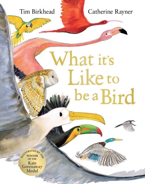 What it's Like to be a Bird, Hardback Book
