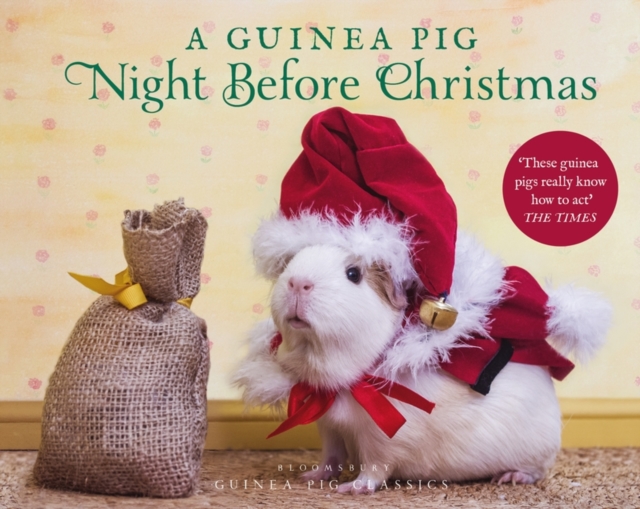 A Guinea Pig Night Before Christmas, Hardback Book