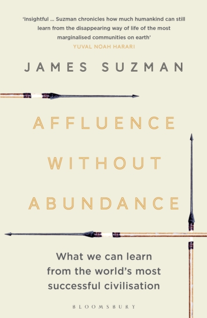 Affluence Without Abundance : What We Can Learn from the World's Most Successful Civilisation, EPUB eBook