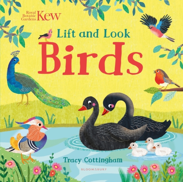 Kew: Lift and Look Birds, Board book Book