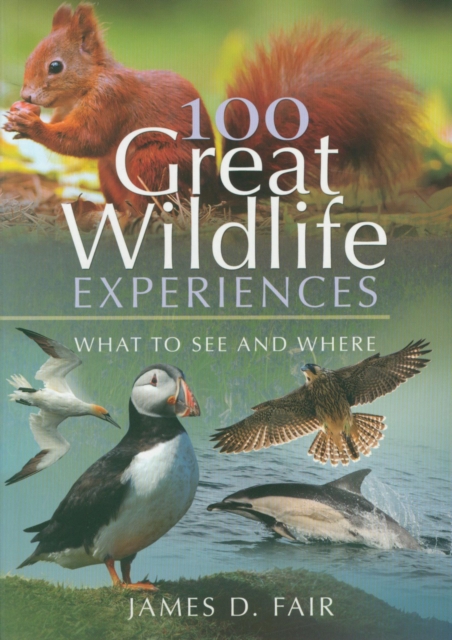 100 Great Wildlife Experiences : What to See and Where, Paperback / softback Book