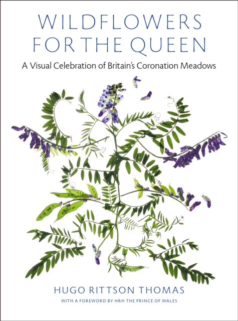 Wildflowers for the Queen : A Visual Celebration of Britain's Coronation Meadows, Hardback Book
