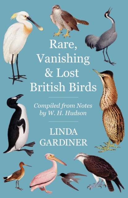 Rare, Vanishing and Lost British Birds : Compiled from Notes by W. H. Hudson, EPUB eBook