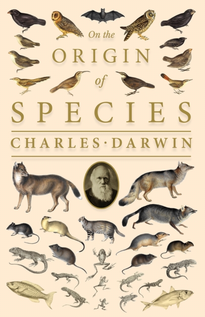 On the Origin of Species : Or; The Preservation of the Favoured Races in the Struggle for Life, EPUB eBook