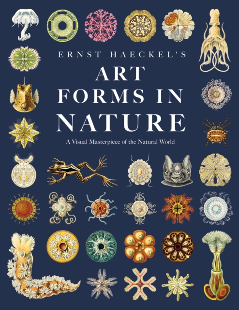 Ernst Haeckel's Art Forms in Nature : A Visual Masterpiece of the Natural World, EPUB eBook