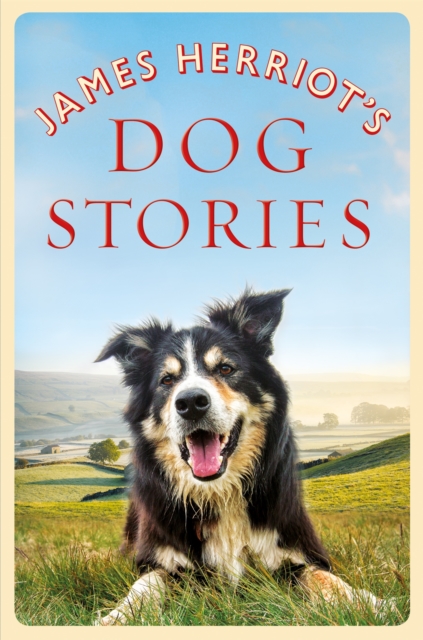 James Herriot's Dog Stories, Paperback / softback Book