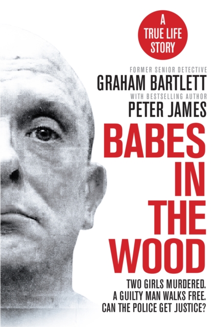 Babes in the Wood : Two girls murdered. A guilty man walks free. Can the police get justice?, EPUB eBook