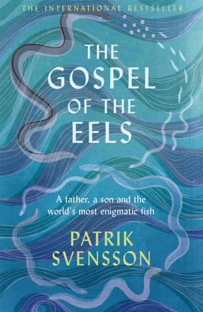 The Gospel of the Eels : A Father, a Son and the World's Most Enigmatic Fish, EPUB eBook
