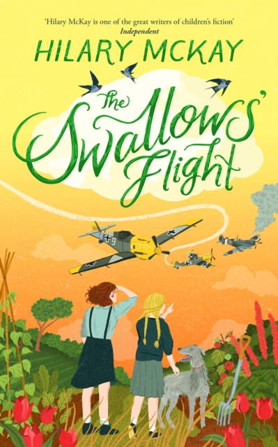 The Swallows' Flight, Hardback Book