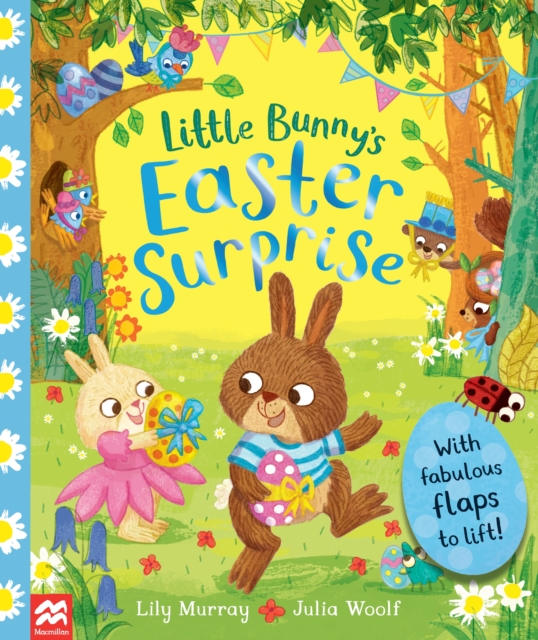 Little Bunny's Easter Surprise, Paperback / softback Book