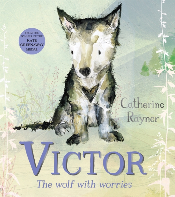 Victor, the Wolf with Worries, Hardback Book